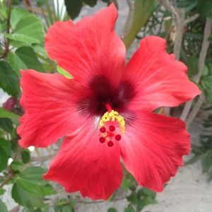 Meet your Posher, Nina